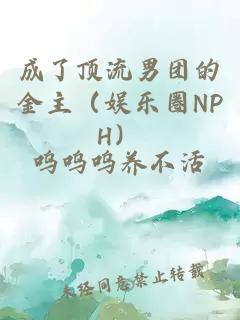 成了顶流男团的金主（娱乐圈NPH）