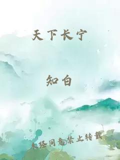 天下长宁