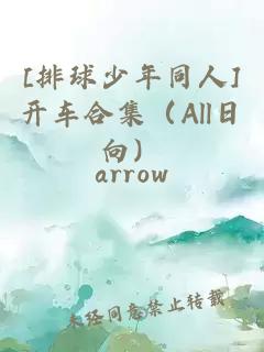 [排球少年同人]开车合集（All日向）