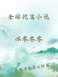 全球挖宝小说