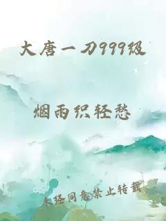 大唐一刀999级