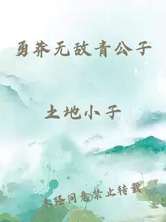 勇莽无敌青公子