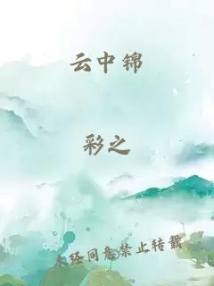 云中锦