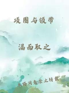 项圈与领带