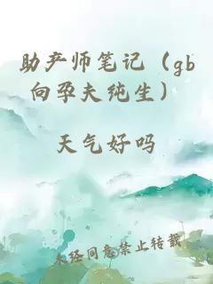 助产师笔记（gb向孕夫纯生）