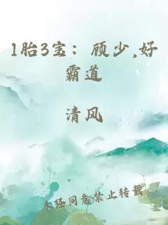 1胎3宝：顾少,好霸道