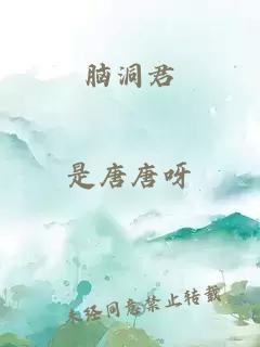 脑洞君