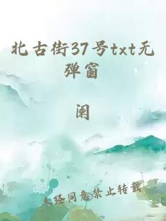 北古街37号txt无弹窗