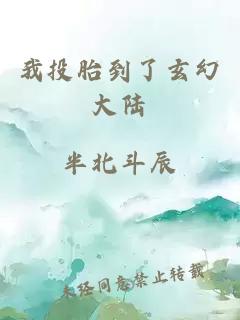 我投胎到了玄幻大陆