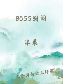 BOSS别闹