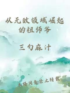 从无敌领域崛起的祖师爷