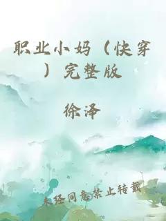 职业小妈（快穿）完整版