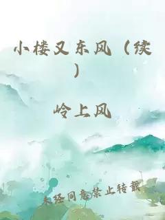 小楼又东风（续）