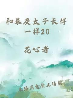 和暴戾太子长得一样20