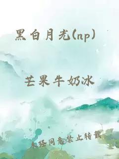 黑白月光(np）